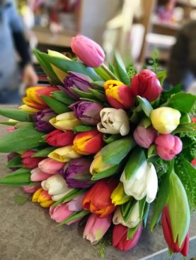 Kytica farebných tulipánov